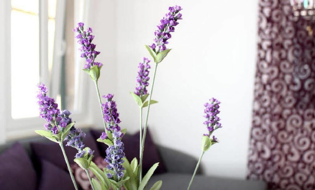 Apartment Lavanda Split Exterior photo